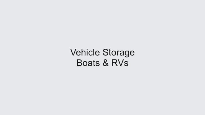 Vehicle Storage